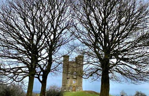 Vine Cottage - Photo 31