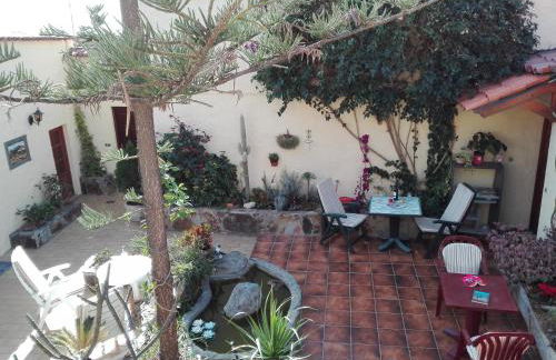 Finca Patio Canario - Foto 19