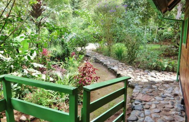 Mindo Eco chalet - Foto 48