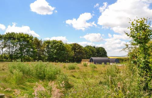 Hawthorn - Uk47620 - Foto 16