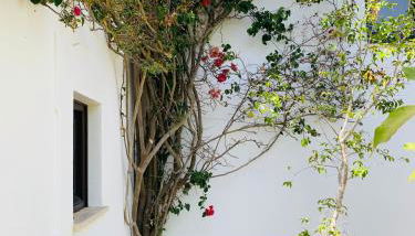 Dona Maria 66 - Foto 5, Garden, Garden view