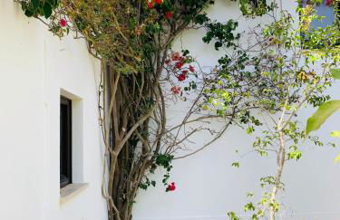 Dona Maria 66 - Foto 5