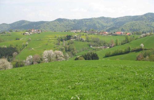 Ferienwohnungen Hansmartihof - Foto 3