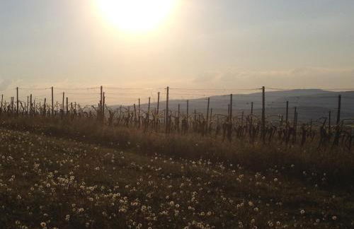 Ferienwohnungen In de goldisch Luft - Foto 76