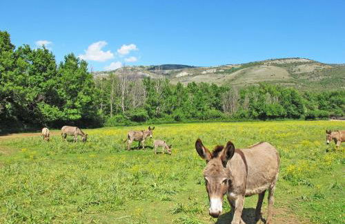 Apartment Laurier by Interhome - Foto 24