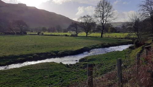 Y Llew Bach, the tiny house - Photo 4