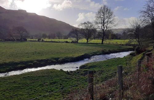 Y Llew Bach, the tiny house - Photo 4