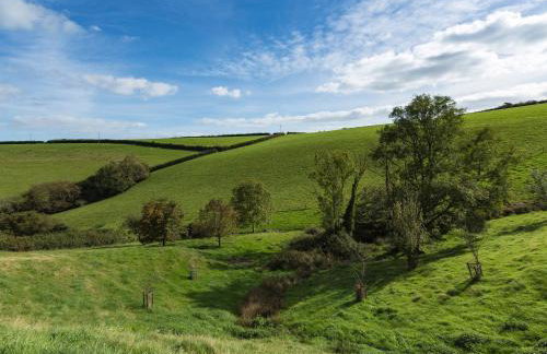 Butterwell Barn - Foto 49