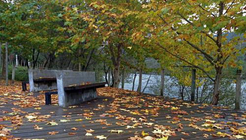 GoToGeres - Casa da Cerejeira - Casas de Alem - Foto 4