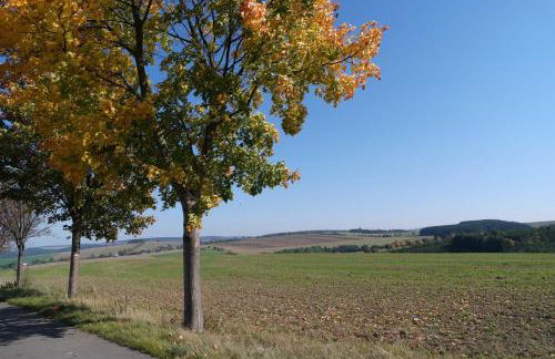Ferienwohnung Blaumeise - Foto 46