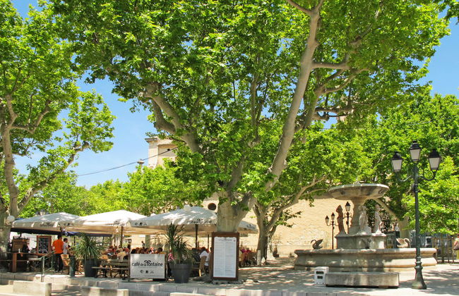 Odalys Référence Le Mas des Alpilles - Foto 17