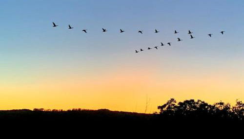 Freistehender Bungalow in Marktbreit in Traumlage mit großem Garten - Foto 5