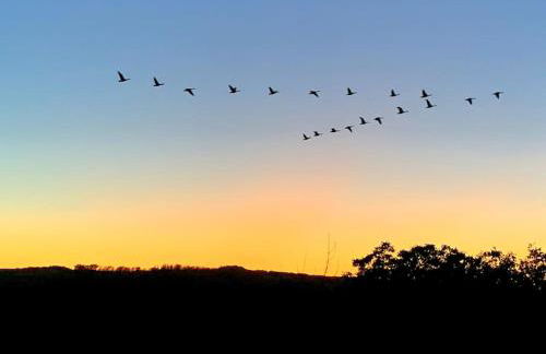 Freistehender Bungalow in Marktbreit in Traumlage mit großem Garten - Foto 5