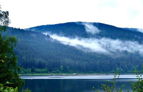 Haus Feldbergblick, Apartment "Valentine", Lenzkirch, Hochschwarzwaldkarte - Foto 21