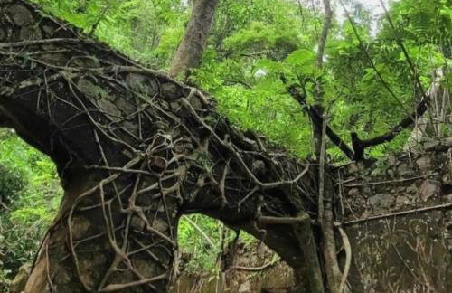 GO 22 - Studio com vista para a serra com piscina, prox PUC - Foto 18