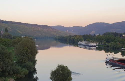 Ferienwohnung im Moseltal - Foto 21