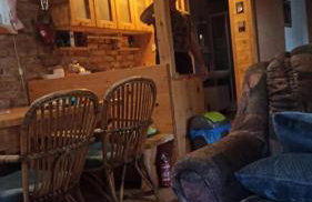 WOODEN HOUSE near the River Kupa - Foto 21