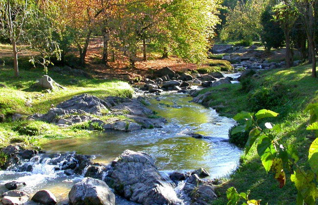 Excursion à Villa General Belgrano et à La Cumbrecita - Photo 6