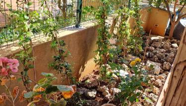 La casa dei pesci dipinti - Foto 3