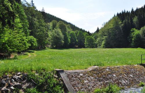 Apartments und Bistro Zum Glasmacher - Foto 90