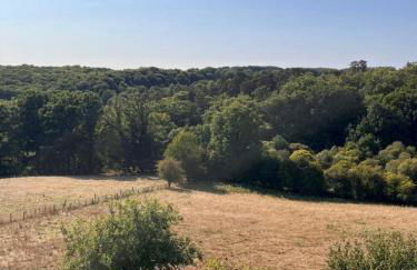 L'îlot Zen - Maison de charme en pierre - rénové - Photo 20