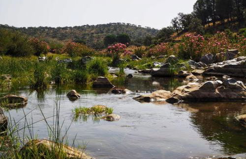 Coto Mina Concepcion - Foto 78