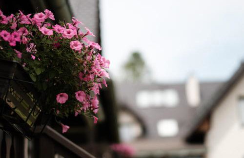 Dom Malowany - Domki - Foto 40