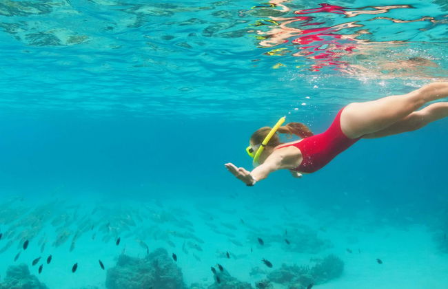 Snorkelling in the Maldives - Foto 1