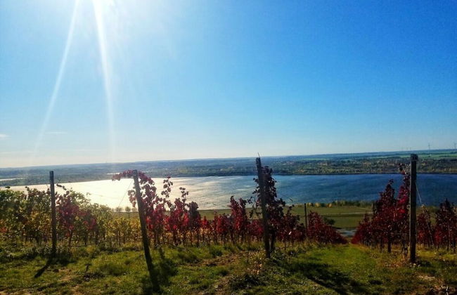 Zonnehof in het Geiseltal - Foto 29