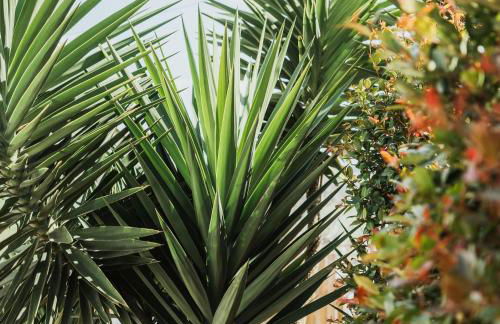 Kodu Lodge - spacious 2 storey coastal home with balcony, sea view, garden & BBQ - Foto 42