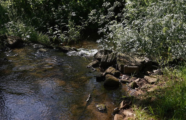 Off-grid Cork Cabin With It's Own Island - Foto 6