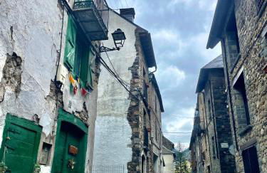 CALMFRANC ático abuhardillado con vistas al río y la montaña Avistamiento de ciervos en Canfranc Pueblo - Foto 49