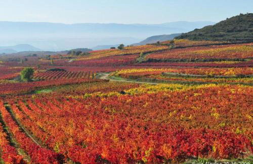 Apartamento Golf Rioja Alta - Foto 44