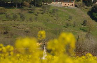 Casa Duccio - Foto 14