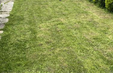 Casa Xoana - Foto 10