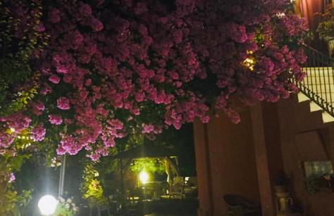 B&B LA BOUGANVILLE - Foto 6