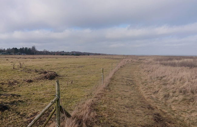 4 Star Holiday Home in Orsted - Foto 23