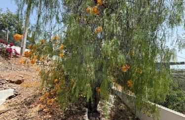 Solar dos Lirios - Foto 60