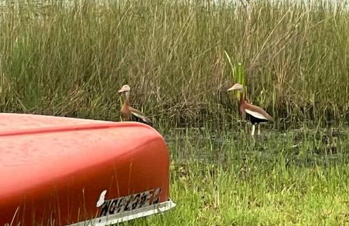 Half Moon Lake Retreat - Foto 26