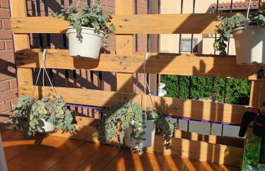 Hibiscus Apartment Ciampino Rome Roma - Foto 18