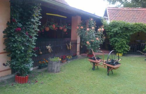 Seoski Turiziam Larva - Photo 22