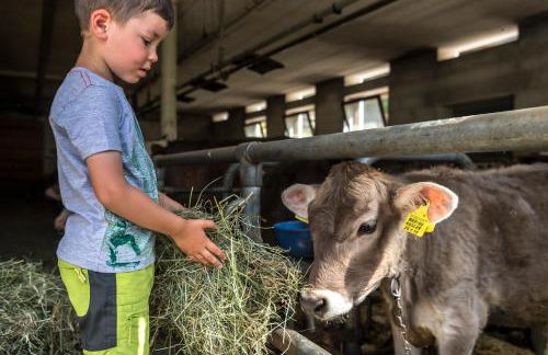 Unterkantiolerhof - Photo 39