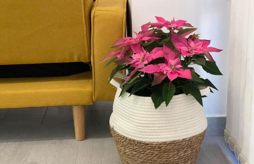 Nuevo apartamento Folin - Foto 6