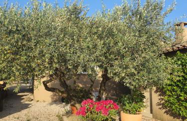 Villa L'Estagniol - Foto 16