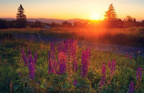 Sauerland-Häuschen Kleine Auszeit - Foto 21