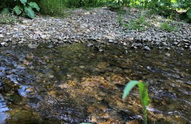 Natur- & Aktivoase - Photo 7