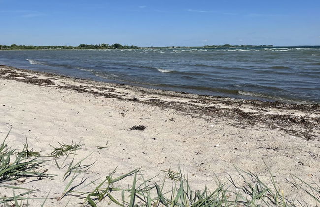 "Ely" - 300m from the sea - Foto 21