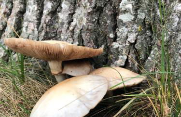 Casa Marian Villanua - Photo 58