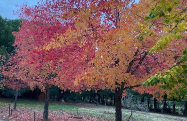 Casa do Campo - Castelo Branco - Foto 25