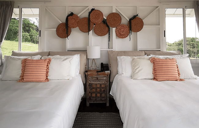 Finca San Cayetano - Photo 8